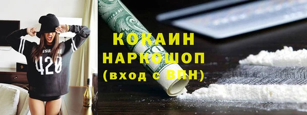 индика Новозыбков