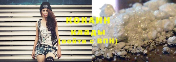 индика Новозыбков