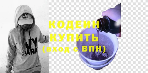 индика Новозыбков
