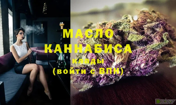 индика Новозыбков