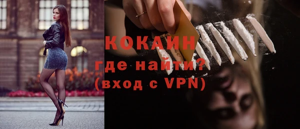 индика Новозыбков