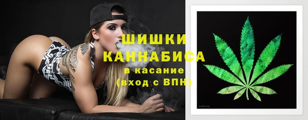 индика Новозыбков
