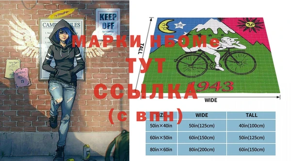 индика Новозыбков