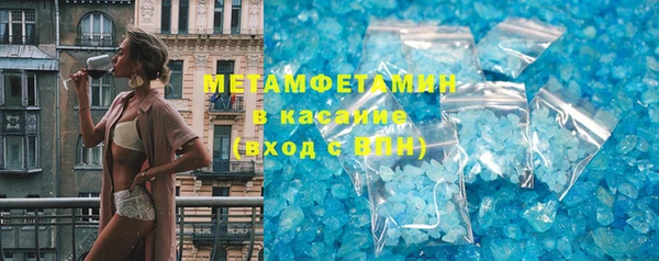 индика Новозыбков