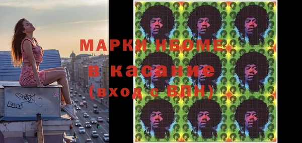 индика Новозыбков