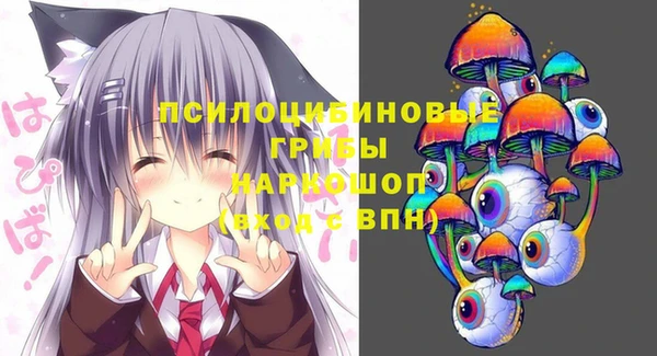 a pvp Новокубанск