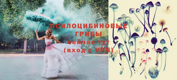 бутират Новодвинск