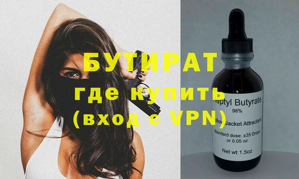 индика Новозыбков
