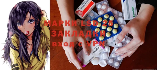 индика Новозыбков