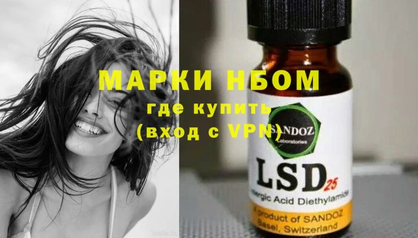 индика Новозыбков