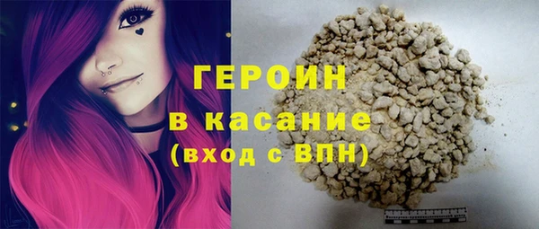 индика Новозыбков
