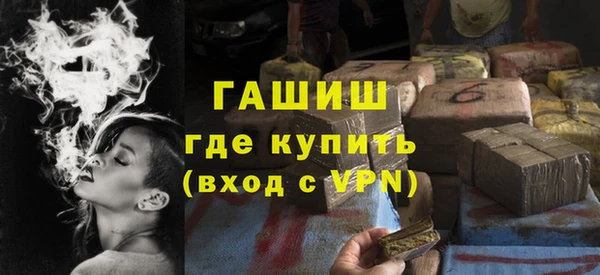 индика Новозыбков