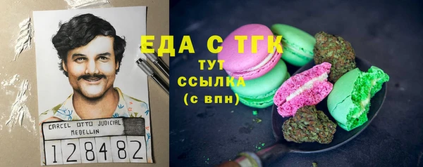 индика Новозыбков