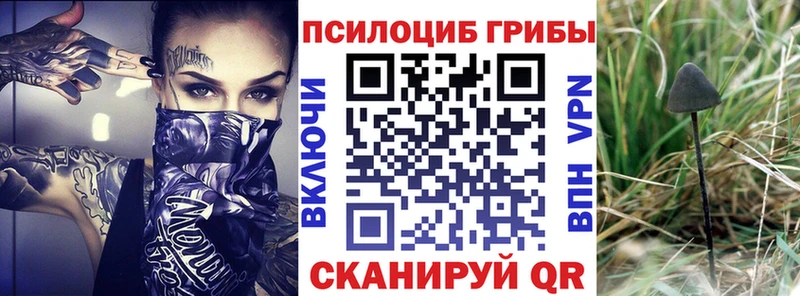 Галлюциногенные грибы Psilocybine cubensis  сколько стоит  Сергач 